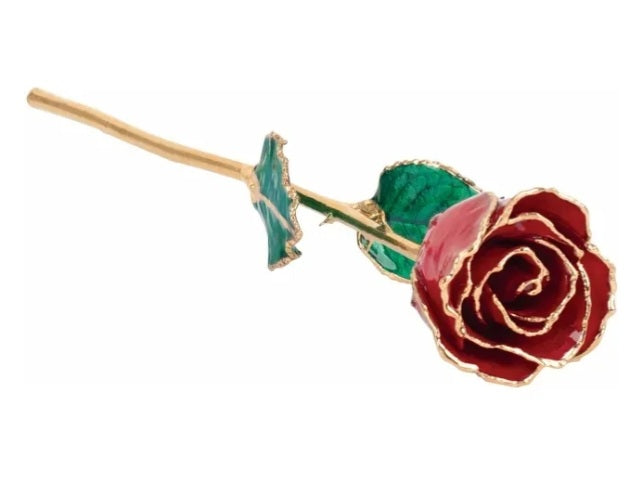 Lacquered Gold Trimmed Rose