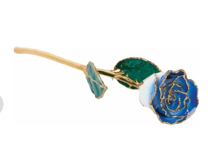 Lacquered Gold Trimmed Rose